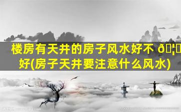 楼房有天井的房子风水好不 🦍 好(房子天井要注意什么风水)